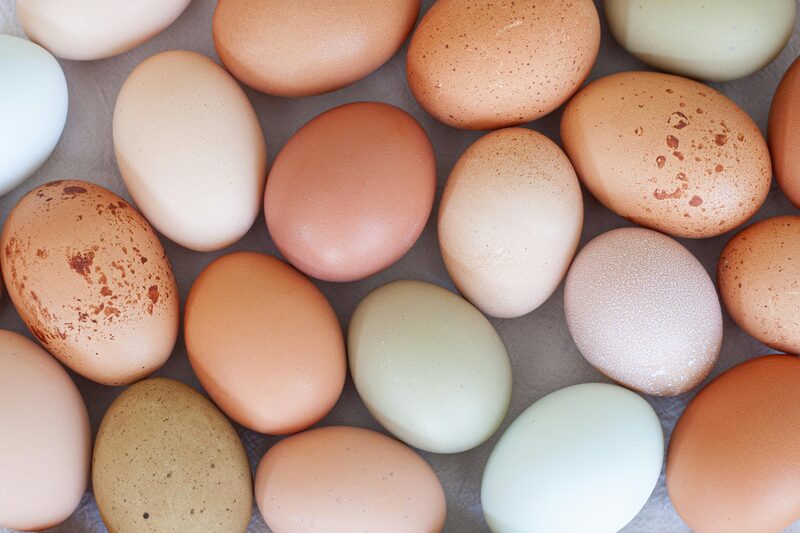 A carton of brown, blue, and pale eggs from above