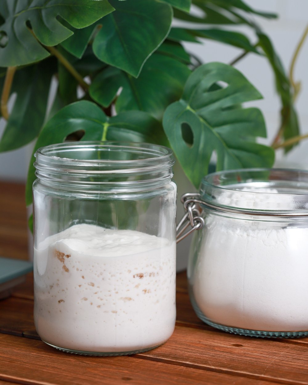 A day-four gluten-free starter, risen and full of bubbles in a glass jar