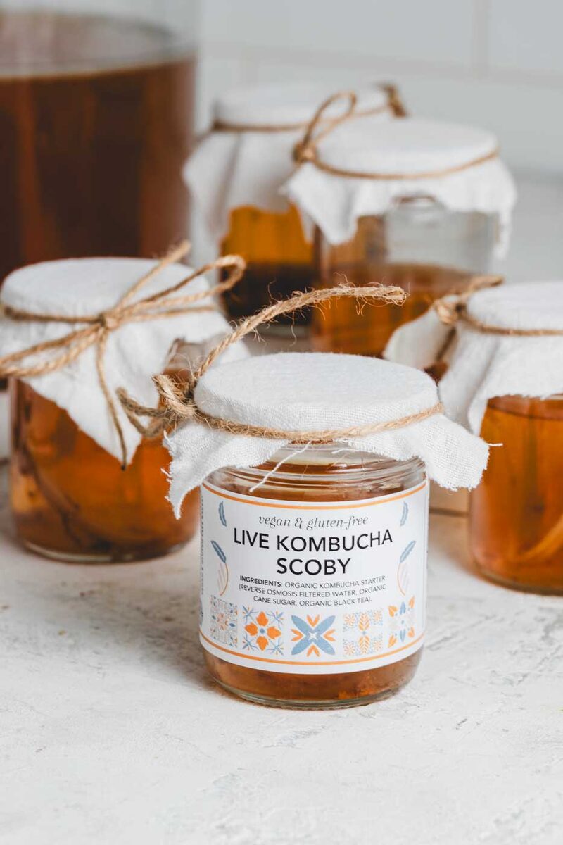 Labeled diagram of a kombucha scoby in a jar